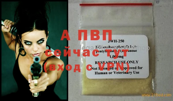 Альфа ПВП Няндома