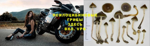 ПСИЛОЦИБИНОВЫЕ ГРИБЫ Нягань