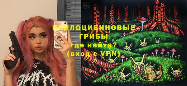 альфа пвп Новодвинск