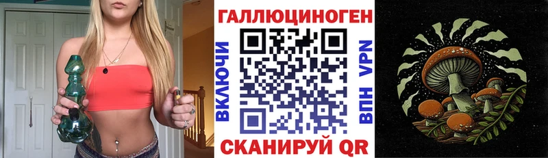 KRAKEN как зайти  где можно купить   Электрогорск  Псилоцибиновые грибы прущие грибы 