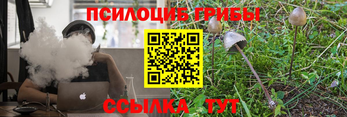 Галлюциногенные грибы прущие грибы  Вход с VPN  как найти закладки  Электрогорск 