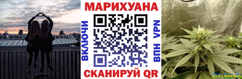 Бошки марихуана сатива  где купить наркоту  Электрогорск 
